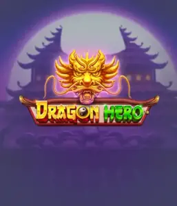 Join a legendary quest with Dragon Hero by Pragmatic Play, featuring breathtaking visuals of mighty dragons and heroic battles. Discover a world where legend meets excitement, with featuring enchanted weapons, mystical creatures, and treasures for a mesmerizing adventure.